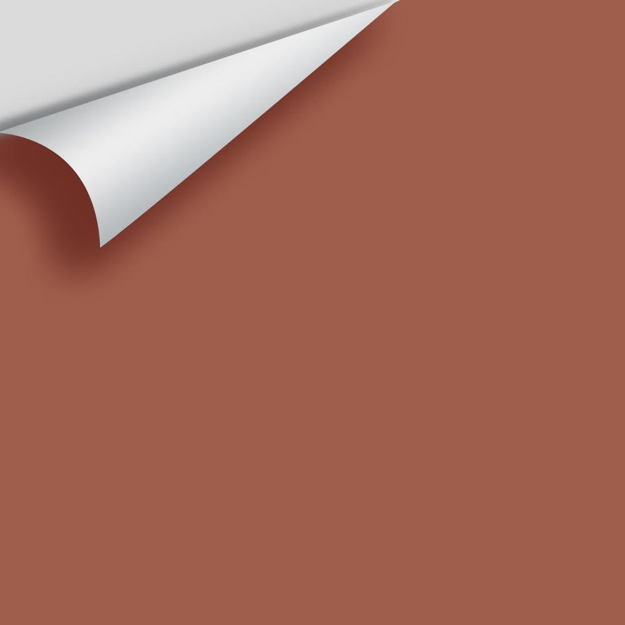 Digital color swatch of Benjamin Moore's Salmon Stream 2173-30 Peel & Stick Sample available at Ricciardi BRothers in PA, DE, & NJ.