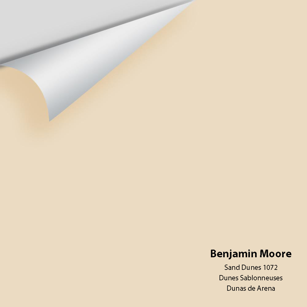 Digital color swatch of Benjamin Moore's Sand Dunes 1072 Peel & Stick Sample available at Ricciardi BRothers in PA, DE, & NJ.