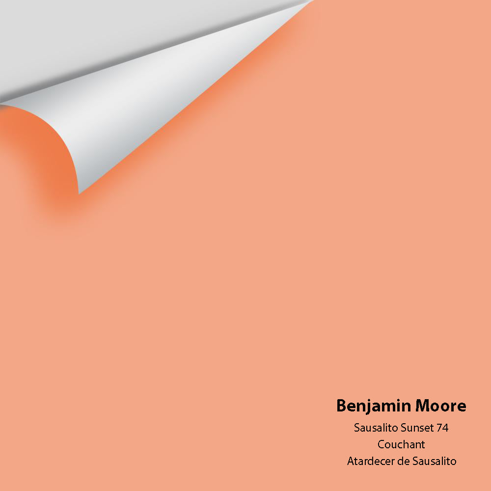 Digital color swatch of Benjamin Moore's Sausalito Sunset 74 Peel & Stick Sample available at Ricciardi BRothers in PA, DE, & NJ.