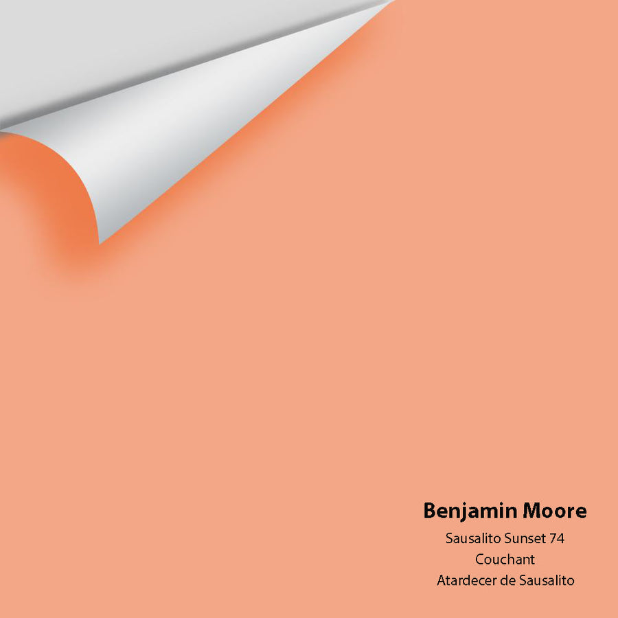 Digital color swatch of Benjamin Moore's Sausalito Sunset 74 Peel & Stick Sample available at Ricciardi BRothers in PA, DE, & NJ.