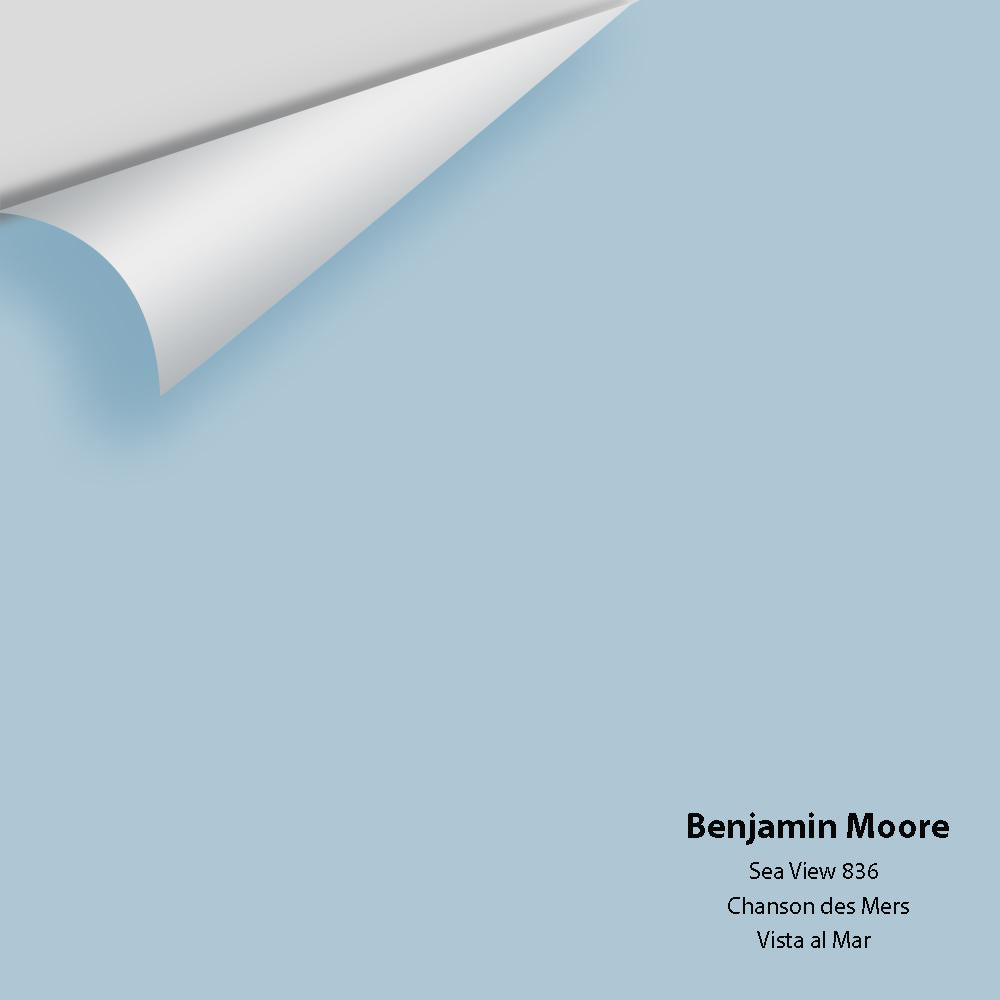 Digital color swatch of Benjamin Moore's Sea View 836 Peel & Stick Sample available at Ricciardi BRothers in PA, DE, & NJ.