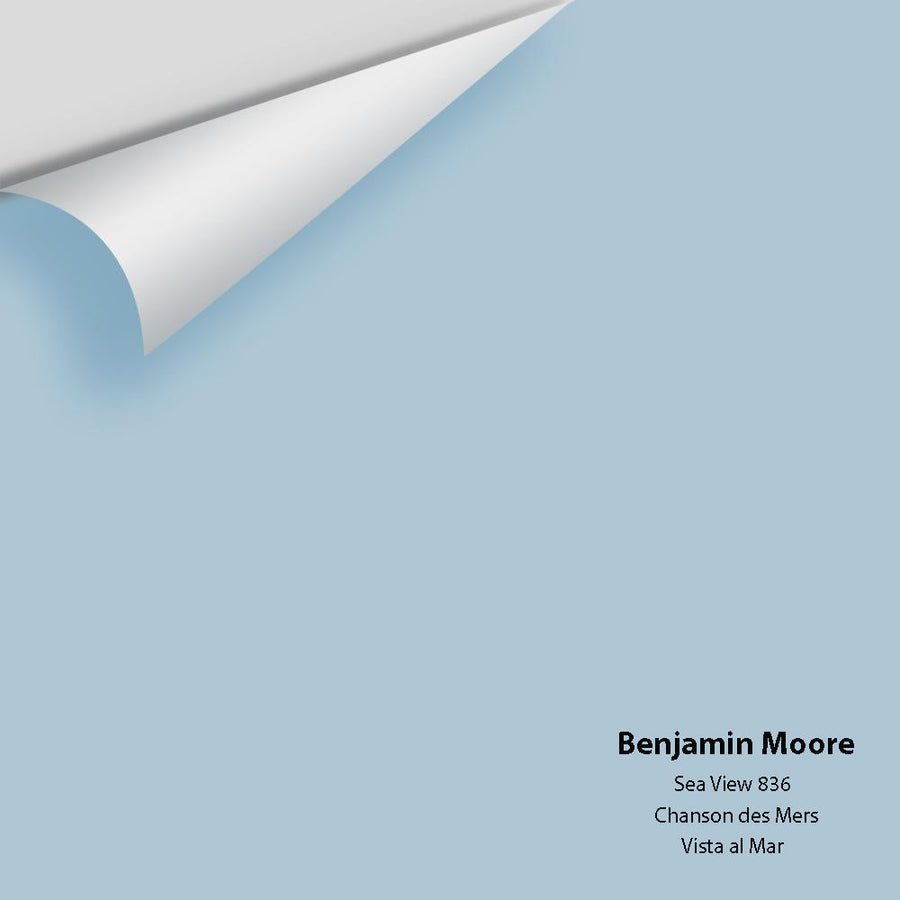Digital color swatch of Benjamin Moore's Sea View 836 Peel & Stick Sample available at Ricciardi BRothers in PA, DE, & NJ.