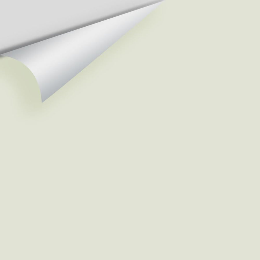 Digital color swatch of Benjamin Moore's Silken Pine 2144-50 Peel & Stick Sample available at Ricciardi BRothers in PA, DE, & NJ.