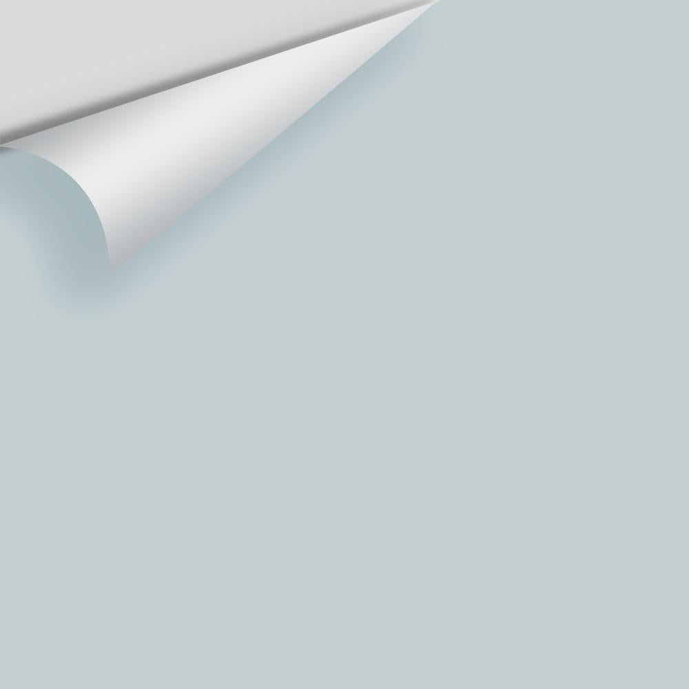 Digital color swatch of Benjamin Moore's Silver Gray 2131-60 Peel & Stick Sample available at Ricciardi BRothers in PA, DE, & NJ.