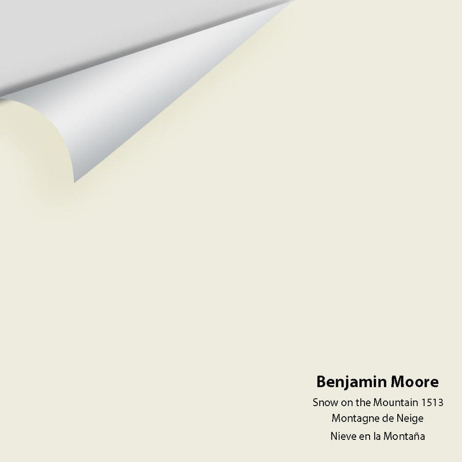 Digital color swatch of Benjamin Moore's Snow on the Mountain 1513 Peel & Stick Sample available at Ricciardi BRothers in PA, DE, & NJ.