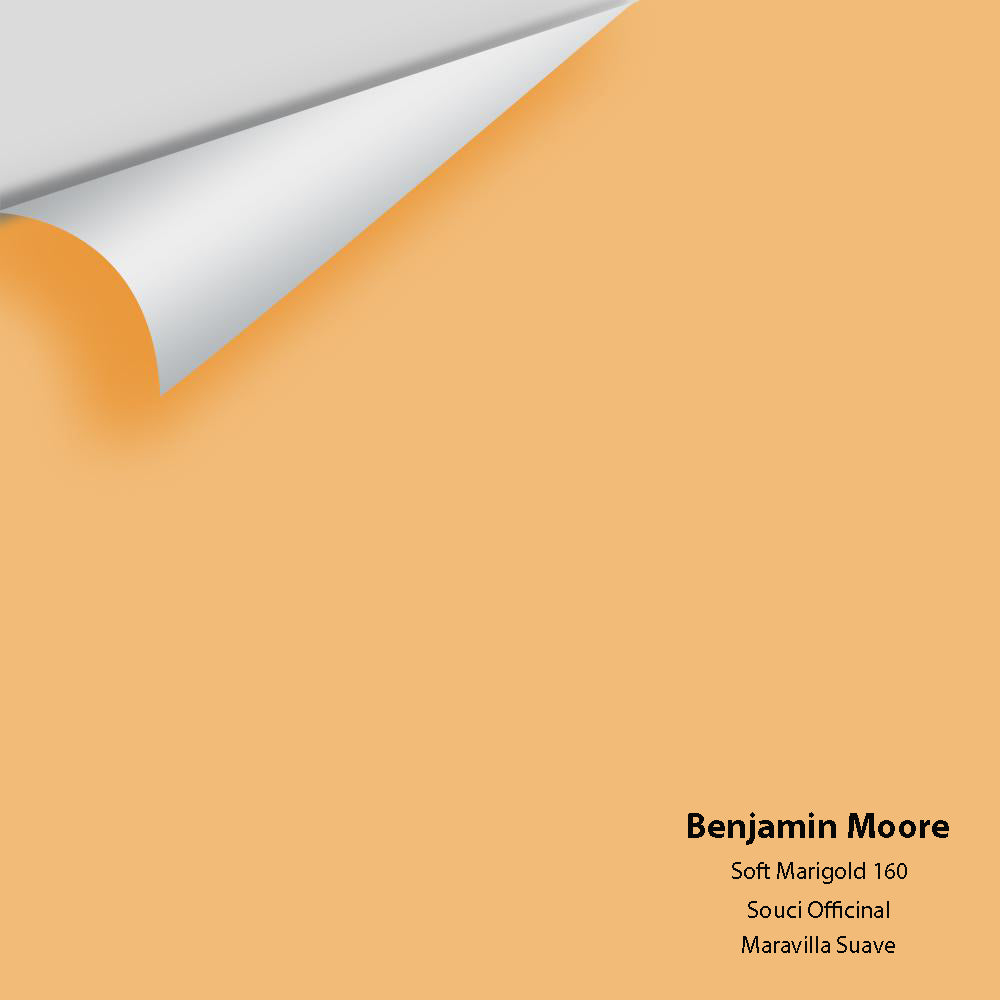 Digital color swatch of Benjamin Moore's Soft Marigold 160 Peel & Stick Sample available at Ricciardi BRothers in PA, DE, & NJ.