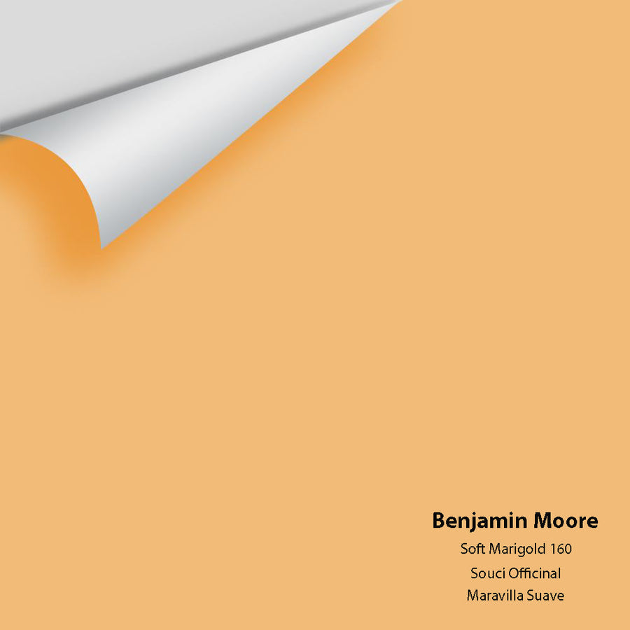 Digital color swatch of Benjamin Moore's Soft Marigold 160 Peel & Stick Sample available at Ricciardi BRothers in PA, DE, & NJ.
