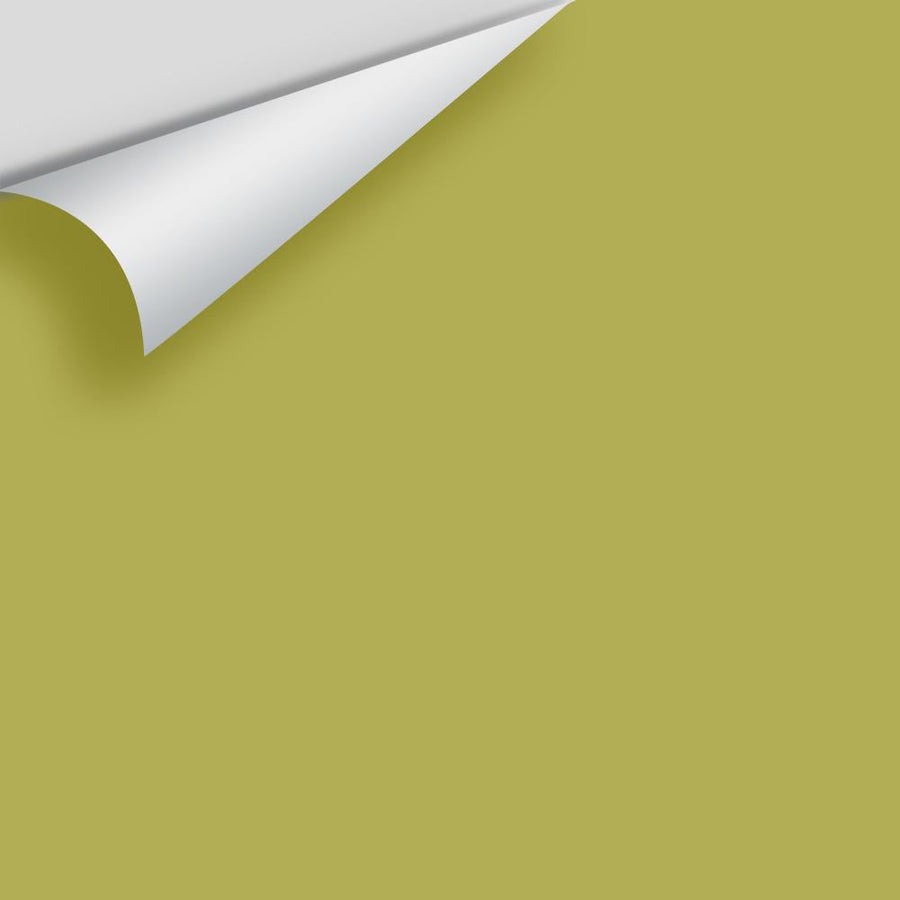 Digital color swatch of Benjamin Moore's Split Pea 2146-30 Peel & Stick Sample available at Ricciardi BRothers in PA, DE, & NJ.