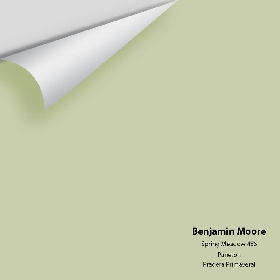 Digital color swatch of Benjamin Moore's Spring Meadow 486 Peel & Stick Sample available at Ricciardi BRothers in PA, DE, & NJ.