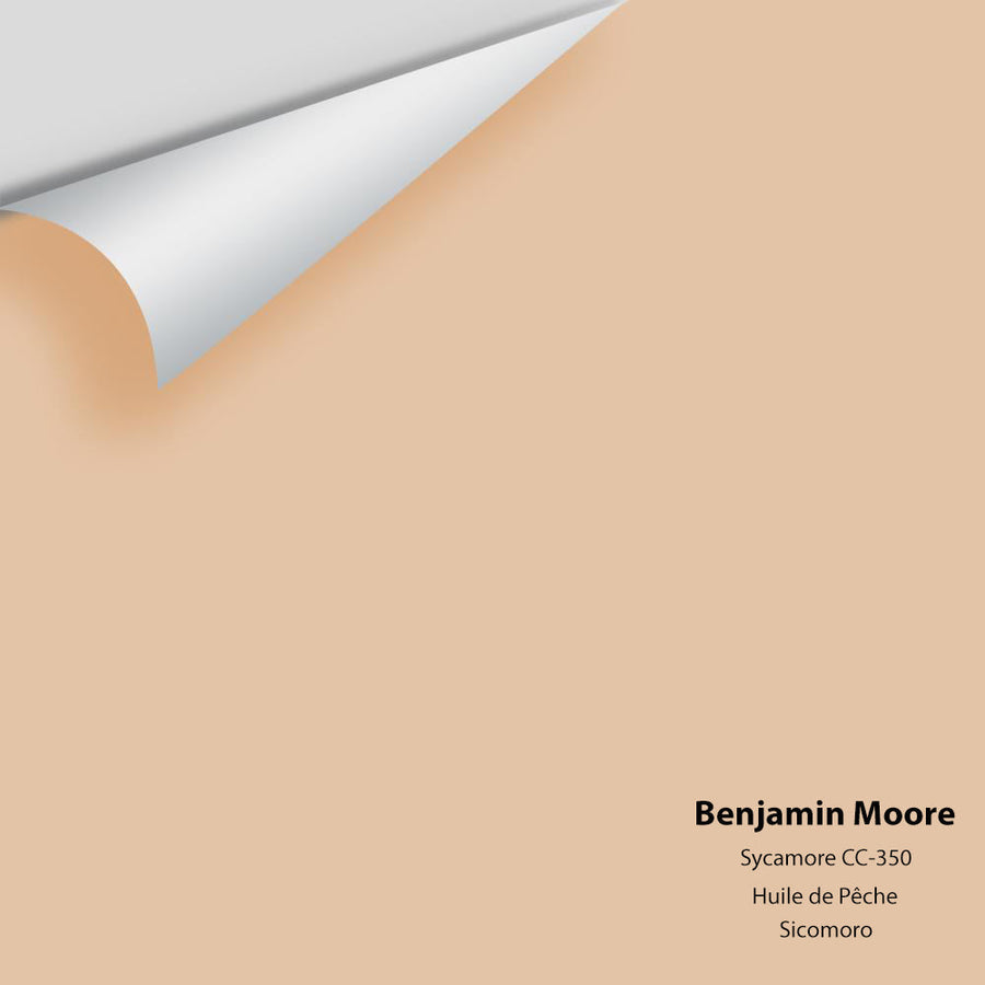 Digital color swatch of Benjamin Moore's Sycamore 1137 Peel & Stick Sample available at Ricciardi BRothers in PA, DE, & NJ.