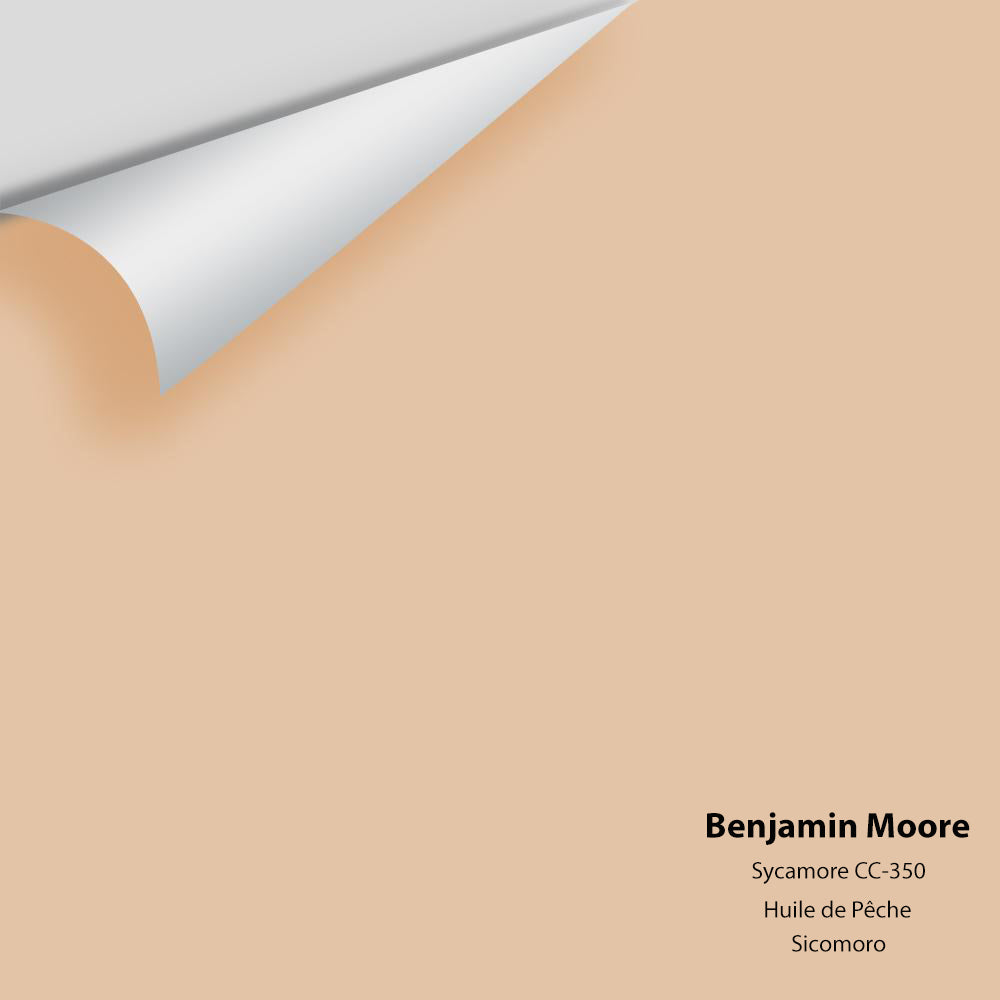 Digital color swatch of Benjamin Moore's Sycamore CC-350 Peel & Stick Sample available at Ricciardi BRothers in PA, DE, & NJ.