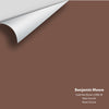 Digital color swatch of Benjamin Moore's Dark Nut Brown 2098-30 Peel & Stick Sample available at Ricciardi BRothers in PA, DE, & NJ.