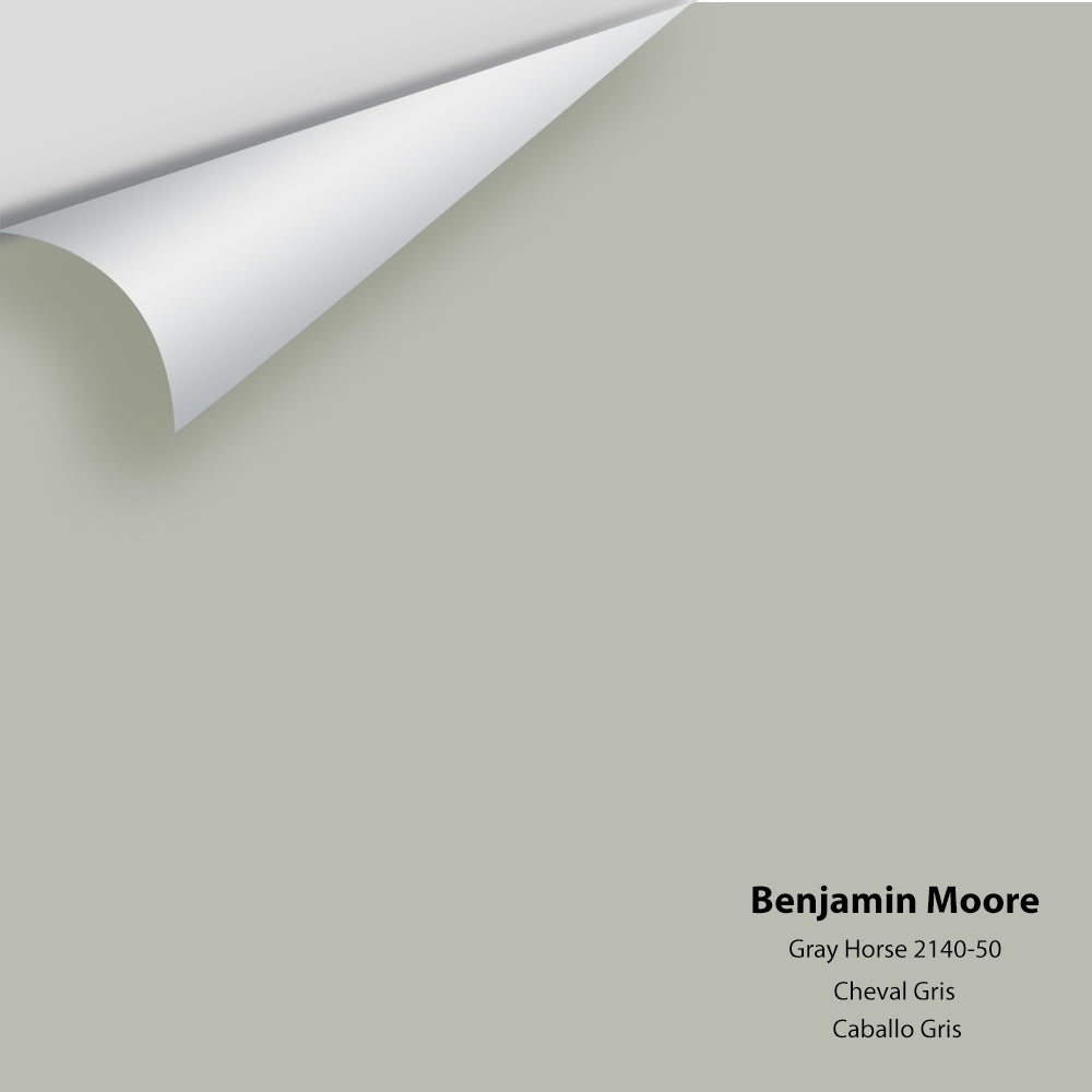 Digital color swatch of Benjamin Moore's Gray Horse 2140-50 Peel & Stick Sample available at Ricciardi BRothers in PA, DE, & NJ.