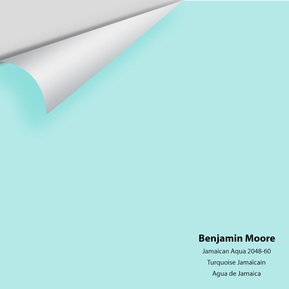 Digital color swatch of Benjamin Moore's Jamaican Aqua 2048-60 Peel & Stick Sample available at Ricciardi BRothers in PA, DE, & NJ.