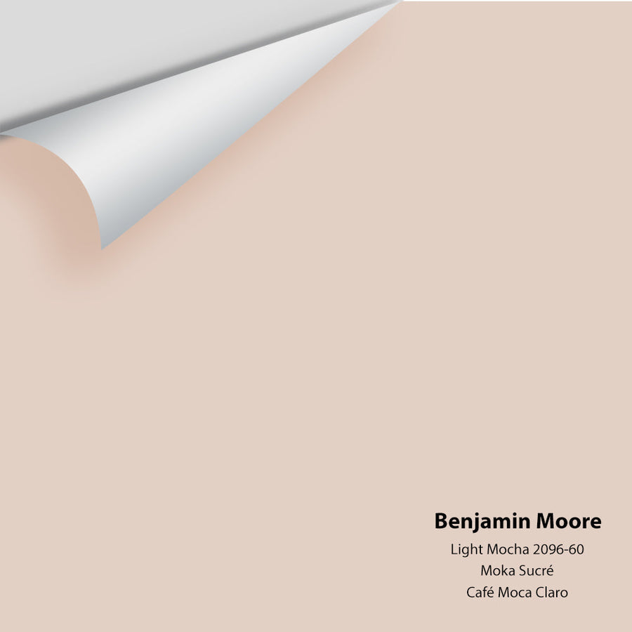 Digital color swatch of Benjamin Moore's Light Mocha 2096-60 Peel & Stick Sample available at Ricciardi BRothers in PA, DE, & NJ.