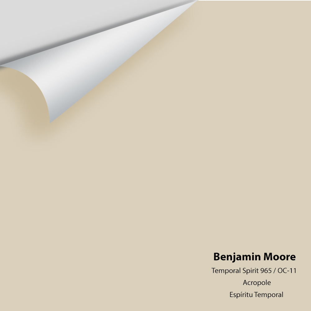 Digital color swatch of Benjamin Moore's Temporal Spirit 965 Peel & Stick Sample available at Ricciardi BRothers in PA, DE, & NJ.