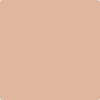 1215 Cinnamon Spice