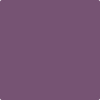 1372 Ultra Violet