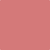 Benjamin Moore's 2006-40 Glamour Pink Paint Color
