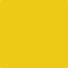 Benjamin Moore's 2023-10 Yolk Paint Color