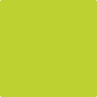 Benjamin Moore's 2026-30 Snow Cone Green Paint Color
