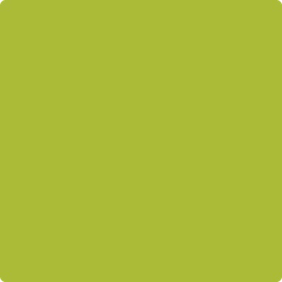 Benjamin Moore's 2027-20 Spring Moss Paint Color