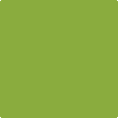 Benjamin Moore's 2028-20 Douglas Fir Paint Color