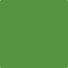 Benjamin Moore's 2029-10 Basil Green Paint Color