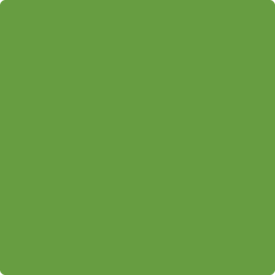 Benjamin Moore's 2029-20 Baby Fern Paint Color