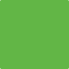 Benjamin Moore's 2031-20 Paradise Green Paint Color