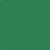 Benjamin Moore's 2036-20 Irish Moss Paint Color