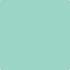 Benjamin Moore's 2038-50 Return to Paradise Paint Color
