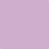 Benjamin Moore's 2073-50 Purple Easter Egg Paint Color
