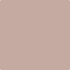 Benjamin Moore's 2105-50 Sand Pebble Paint Color