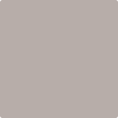 Benjamin Moore's 2109-50 Elephant Gray Paint Color
