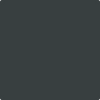 Benjamin Moore's 2131-20 Midnight Gray Paint Color