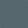 Benjamin Moore's 2135-30 Nocturnal Gray Paint Color