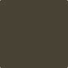 Benjamin Moore's 2139-10 River Rock Paint Color