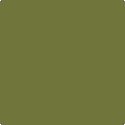 Benjamin Moore's 2145-10 Avocado Paint Color