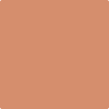 Benjamin Moore's 2175-40 Adobe Dust Paint Color