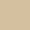 Benjamin Moore Color CC-150 Sandy Brown