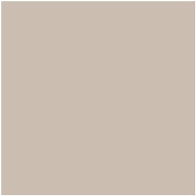 Benjamin Moore Color CC-396 Stone Castle