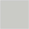 Benjamin Moore Color HC-170 Stonington Gray