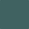 Benjamin Moore Color AF-510 Dragonfly