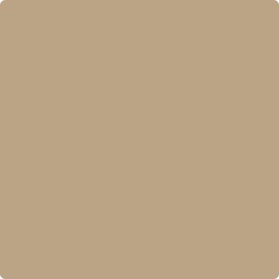 Benjamin Moore Color CC-336 Wild Mushroom