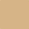 Benjamin Moore Color CC-410 Boardwalk