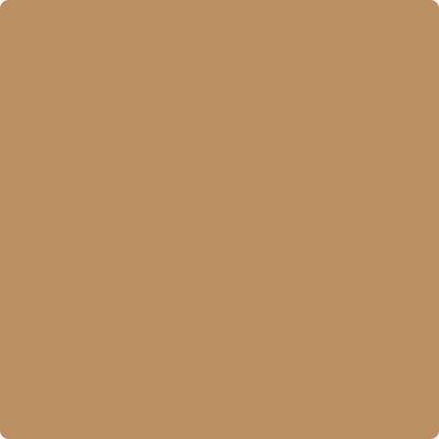 Benjamin Moore Color CC-420 Maple Syrup