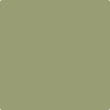 Benjamin Moore Color CC-668 Misted Fern