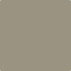 Benjamin Moore Color CC-696 Taiga 