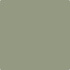 Benjamin Moore Color CC-724 Home Stead